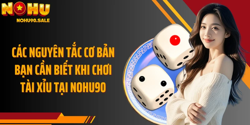 Các nguyên tắc cơ bản bạn cần biết khi chơi Tài Xỉu tại Nohu90